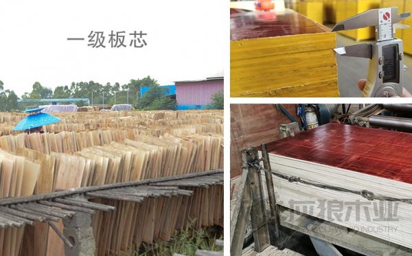 灰狼木業-專注建筑木模板生產廠家的優勢